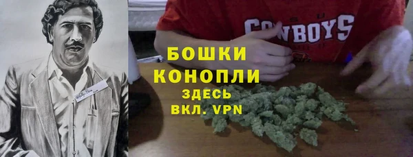 ПСИЛОЦИБИНОВЫЕ ГРИБЫ Нея