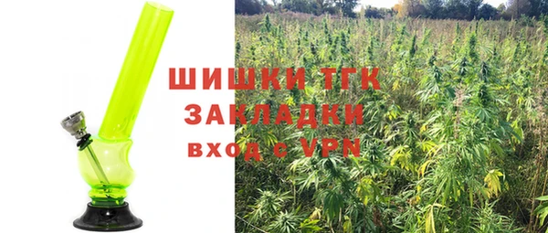 ГАЛЛЮЦИНОГЕННЫЕ ГРИБЫ Нефтекумск