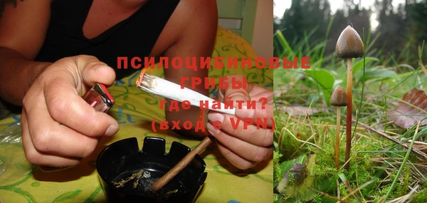 ПСИЛОЦИБИНОВЫЕ ГРИБЫ Нея