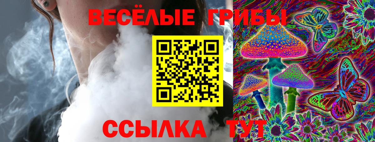 Галлюциногенные грибы Psilocybine cubensis Боровичи