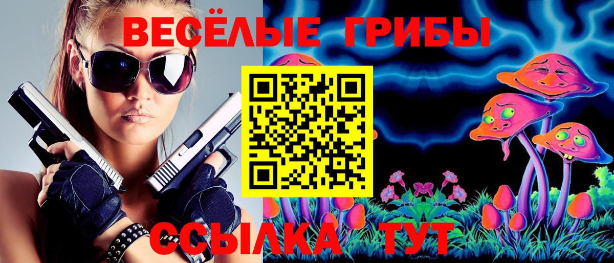 Псилоцибиновые грибы Psilocybe  магазин продажи наркотиков  Боровичи 