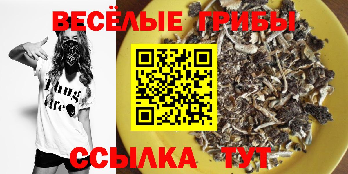 Псилоцибиновые грибы MAGIC MUSHROOMS Боровичи